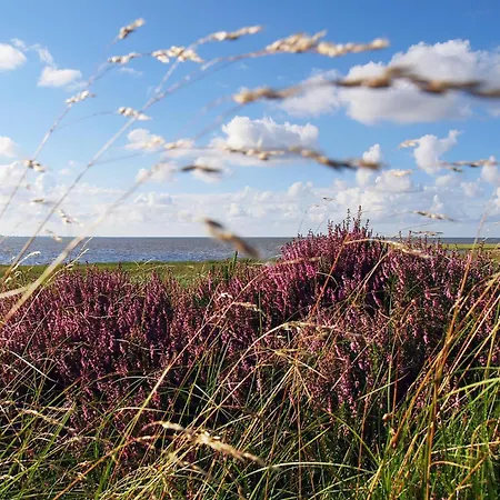 Daire Strandhochhaus Sahlenburg H3 Cuxhaven